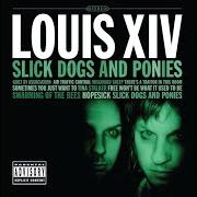 Slick dogs and ponies
