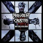 In cold blood In cold blood