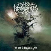 Der musikalische text MIRRORS OF A THOUSAND LAKES von NECROPHOBIC ist auch in dem Album vorhanden In the twilight grey (2024)