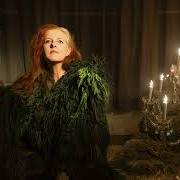 Der musikalische text AN ICE AGE von NEKO CASE ist auch in dem Album vorhanden Neon grey midnight green (2025)