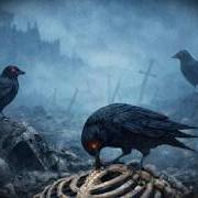 Bones for the crows Bones for the crows