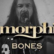 Der musikalische text TEMPEST von AMORPHIS ist auch in dem Album vorhanden Borderland (2025)