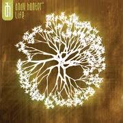 Der musikalische text WONDERFUL von ANDY HUNTER ist auch in dem Album vorhanden Life (2005)