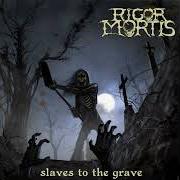 Slaves to the grave Slaves to the grave