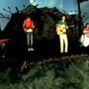 Grand animals Grand animals