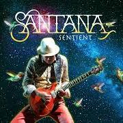 Der musikalische text LET THE GUITAR PLAY von SANTANA ist auch in dem Album vorhanden Sentient (2025)