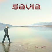 Insensible Insensible