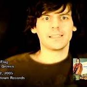 White flag White flag