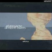 Der musikalische text THE SAD PARADE von STAVESACRE ist auch in dem Album vorhanden Stavesacre / denison marrs split (2001)