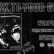 Der musikalische text NO WAY TO LIVE von STICK TO YOUR GUNS ist auch in dem Album vorhanden Spectre (2022)