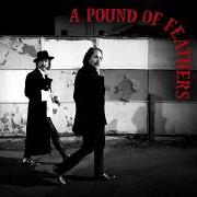 A pound of feathers