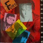 The psychedelic furs