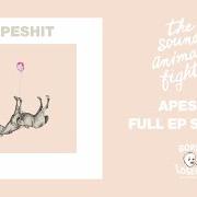 Der musikalische text SHARON TATE, DESPITE EVERYTHING von THE SOUND OF ANIMALS FIGHTING ist auch in dem Album vorhanden Apeshit (2022)