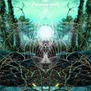 Der musikalische text ON THE OCCASION OF WET SNOW von THE SOUND OF ANIMALS FIGHTING ist auch in dem Album vorhanden The ocean and the sun (2008)