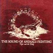 Der musikalische text PRAYERS ON FIRE von THE SOUND OF ANIMALS FIGHTING ist auch in dem Album vorhanden The lord has left us lover (2006)