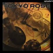 Der musikalische text I LOVE YOU ... TOO von TOKYO ROSE ist auch in dem Album vorhanden Chasing fireflies (2001)