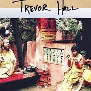 Der musikalische text DUST von TREVOR HALL ist auch in dem Album vorhanden Unpack your memories... (2015)