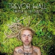 Der musikalische text WALK QUIETLY von TREVOR HALL ist auch in dem Album vorhanden Chapter of the forest (2014)