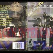 Los sonidos de su espíritu Los sonidos de su espíritu