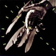 Der musikalische text FERTILE CRESCENT von BAD RELIGION ist auch in dem Album vorhanden Generator (1992)