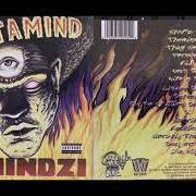 Der musikalische text DETROIT von MASTAMIND ist auch in dem Album vorhanden Themindzi (2000)