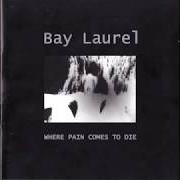 Der musikalische text WHERE PAIN COMED TO DIE von BAY LAUREL ist auch in dem Album vorhanden Where pain comes to die (2000)