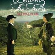 Der musikalische text THE FORWARD von BETWEEN THE TREES ist auch in dem Album vorhanden The story and the song (2006)