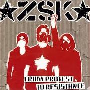 From protest to resistance