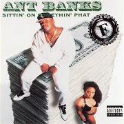 Der musikalische text ROLL 'EM PHAT von ANT BANKS ist auch in dem Album vorhanden Sittin' on something phat (1993)