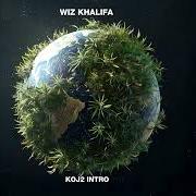 Der musikalische text WHAT'S HANNIN von WIZ KHALIFA ist auch in dem Album vorhanden Kush + orange juice 2 (2025)