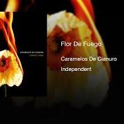 Flor de fuego