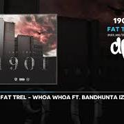 Der musikalische text BLAME US von FAT TREL ist auch in dem Album vorhanden 1901 (2019)