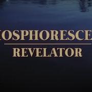 Der musikalische text A MOON BEHIND THE CLOUDS von PHOSPHORESCENT ist auch in dem Album vorhanden Revelator (2024)