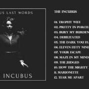 The incubus