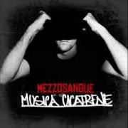 Der musikalische text PIOVE MUSICA von MEZZOSANGUE ist auch in dem Album vorhanden Musica cicatrene (2024)