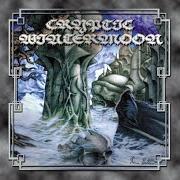 The age of cataclysm