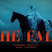 The fall The fall