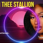 Der musikalische text PAPER TOGETHER von MEGAN THEE STALLION ist auch in dem Album vorhanden Megan (2024)