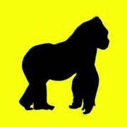 Der musikalische text 99% von RUSOWSKY ist auch in dem Album vorhanden Daisy (2025)