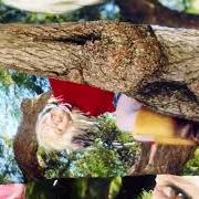 Growing down Growing down