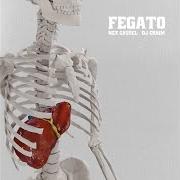 Fegato