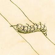 Der musikalische text MALIBÙ von CHIELLO ist auch in dem Album vorhanden Scarabocchi (2025)