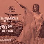 Der musikalische text TWO GENERATIONS OF EXCESS von UNKNOWN MORTAL ORCHESTRA ist auch in dem Album vorhanden Two generations of excess (2024)