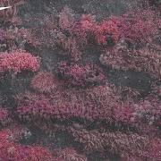 Even in arcadia Even in arcadia