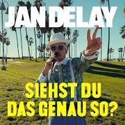 Der musikalische text EIZ AIR (FEAT. MIEZE KATZ & EIZI EIZ) von JAN DELAY ist auch in dem Album vorhanden Siehst du das genau so? (2024)