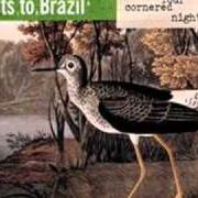 Der musikalische text SWEET AVENUE von JETS TO BRAZIL ist auch in dem Album vorhanden Orange rhyming dictionary (1998)