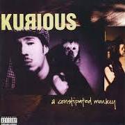 Der musikalische text SPELL IT WIT A J (YES, YES JORGE) von KURIOUS ist auch in dem Album vorhanden A constipated monkey (1994)
