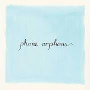 Der musikalische text CREATURES OF A DAY von LAURA VEIRS ist auch in dem Album vorhanden Phone orphans (2023)